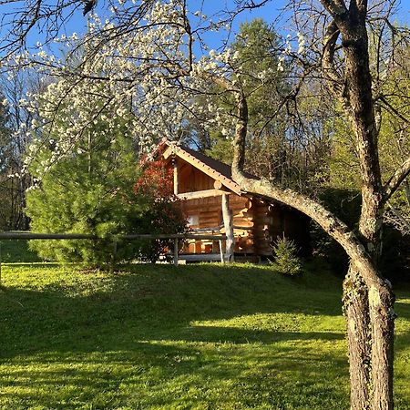 Hut At The Forest Male Brusnice Εξωτερικό φωτογραφία