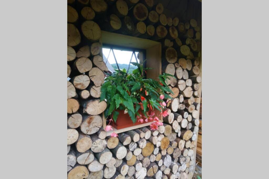 Hut At The Forest Male Brusnice Εξωτερικό φωτογραφία