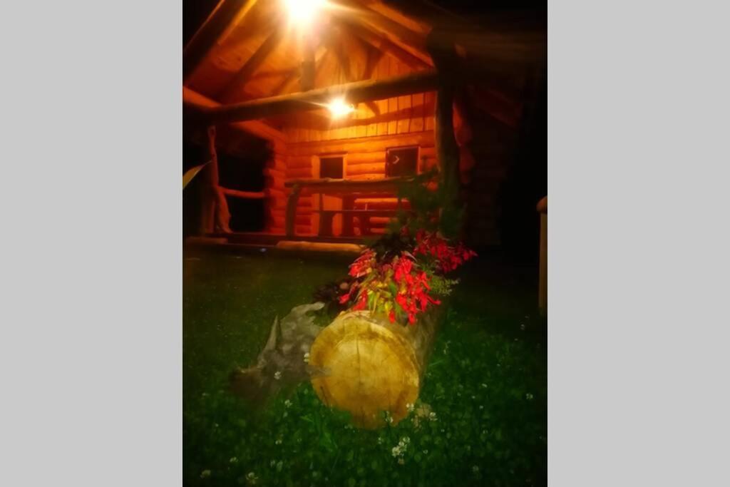 Hut At The Forest Male Brusnice Εξωτερικό φωτογραφία