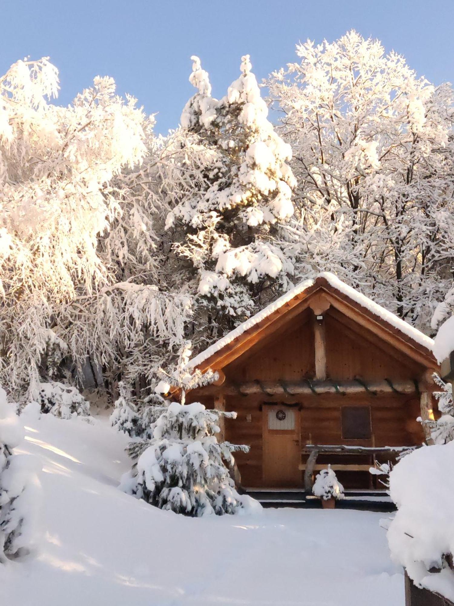 Hut At The Forest Male Brusnice Εξωτερικό φωτογραφία