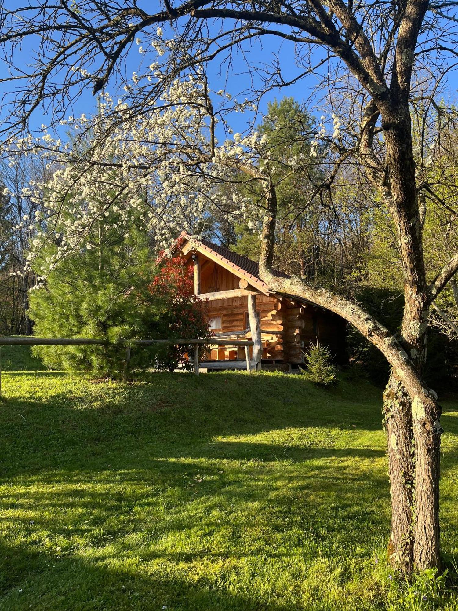 Hut At The Forest Male Brusnice Εξωτερικό φωτογραφία